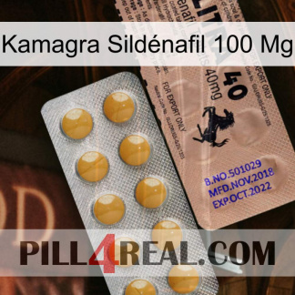 Kamagra Sildénafil 100 Mg 41